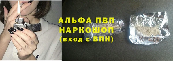 шишки Арсеньев