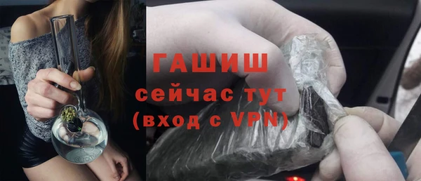 шишки Арсеньев