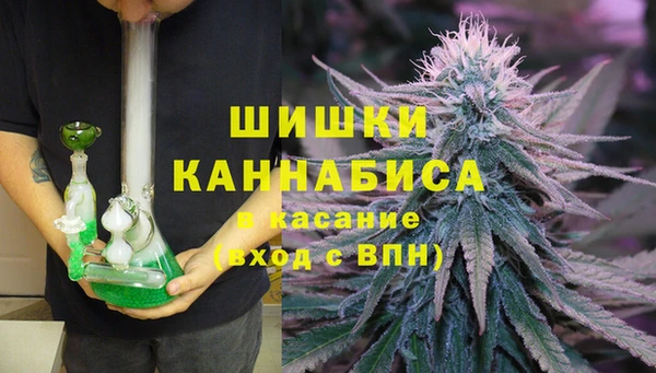 ешки Аркадак