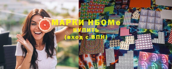 шишки Арсеньев