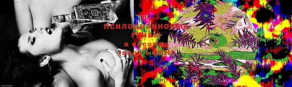 ешки Аркадак