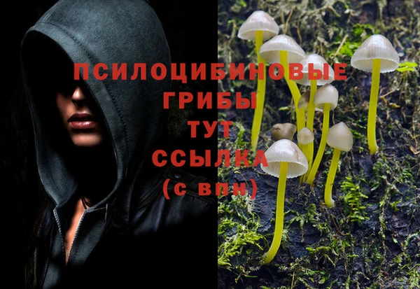 ешки Аркадак