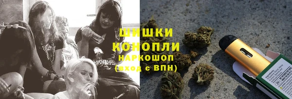 шишки Арсеньев