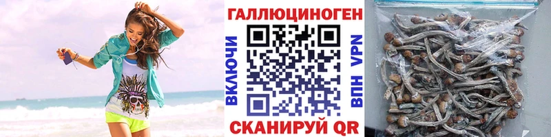 Галлюциногенные грибы MAGIC MUSHROOMS  Белинский 